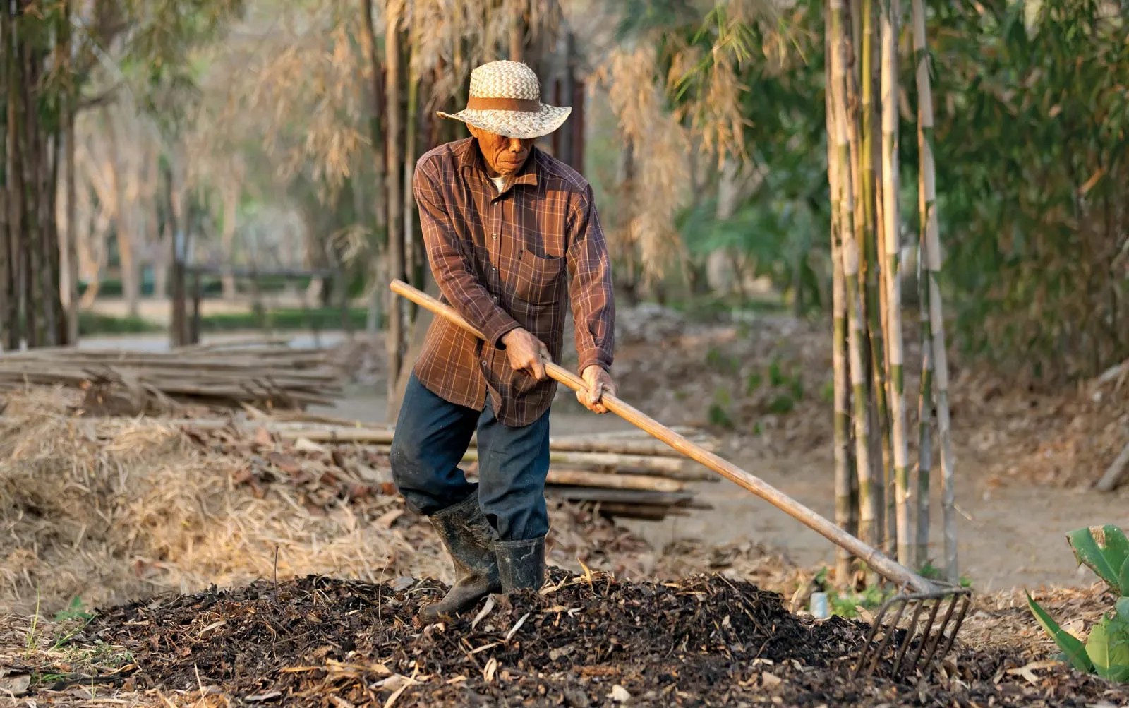 Fertilising
